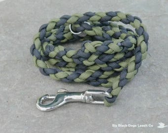 3 Foot Snap Bolt Leash