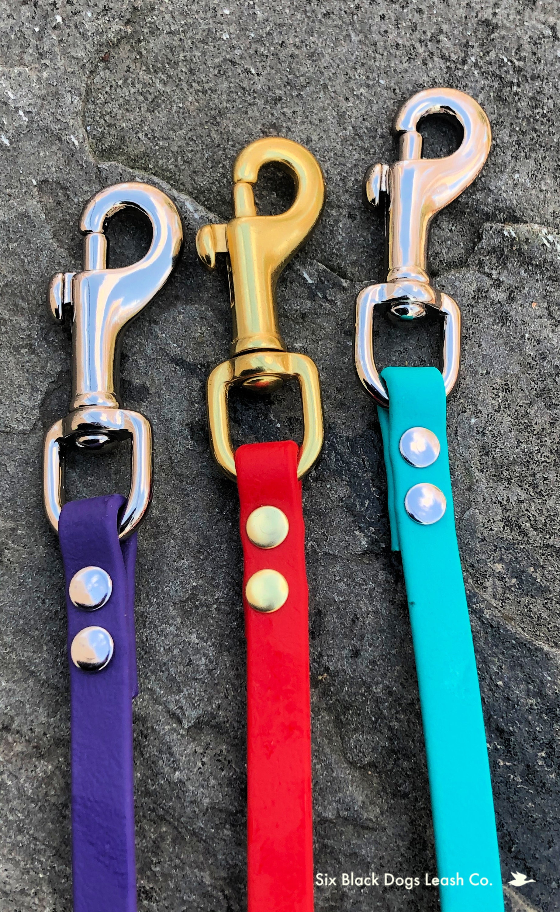 BioThane 3/8 Standard Leash with Snap Bolt Free Etsy España