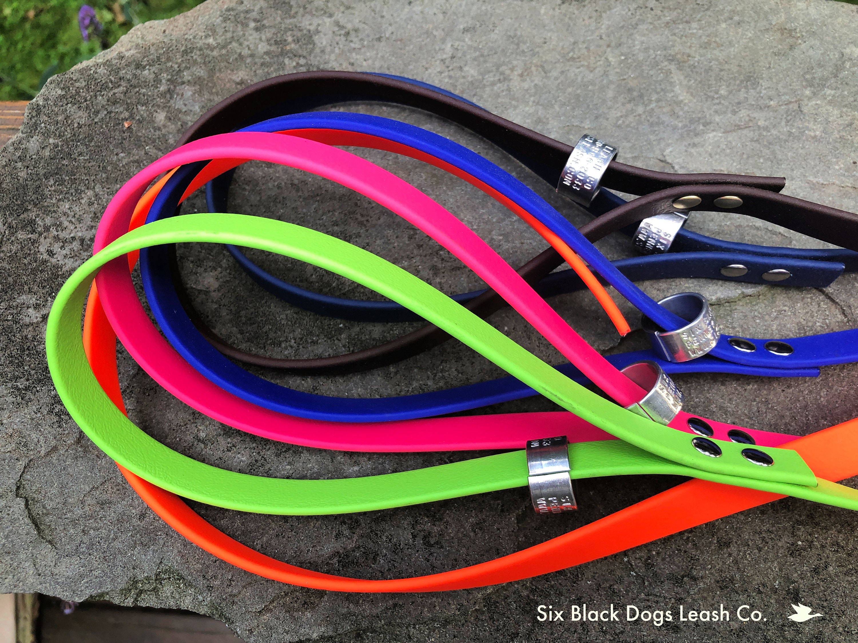 BioThane 1/2 Standard Leash with Snap Bolt Free Shipping