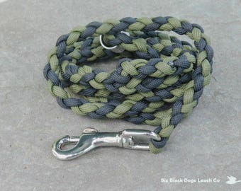 3 Foot Snap Bolt Leash