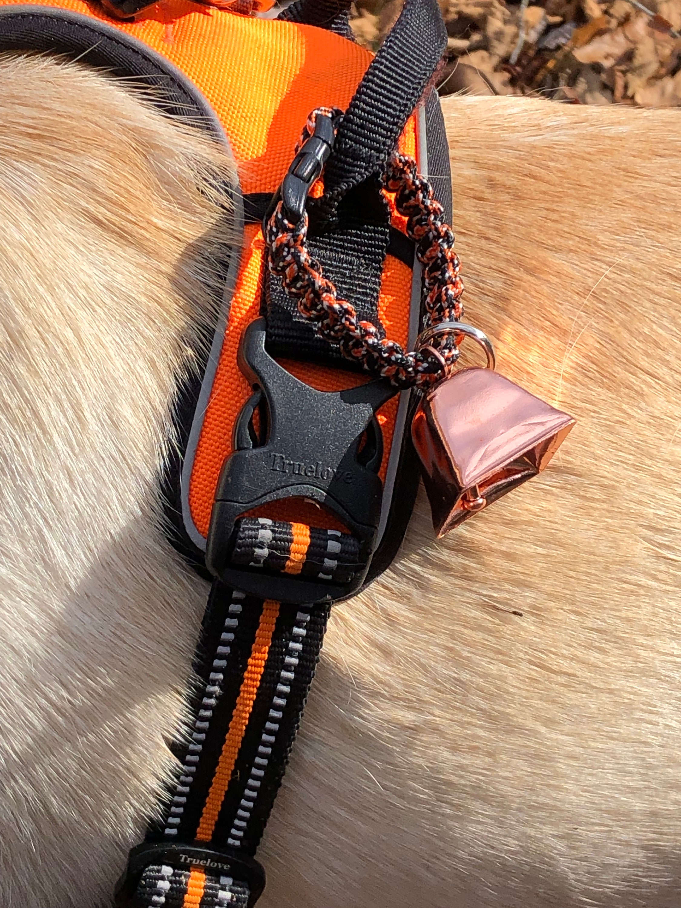 Large Copper Cow/Dog Bell with Dog ID Tag Strap Hiking/Hunting/Walking