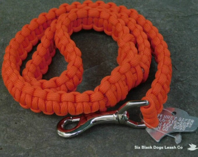 Heavy 2 Foot Snap Bolt Leash