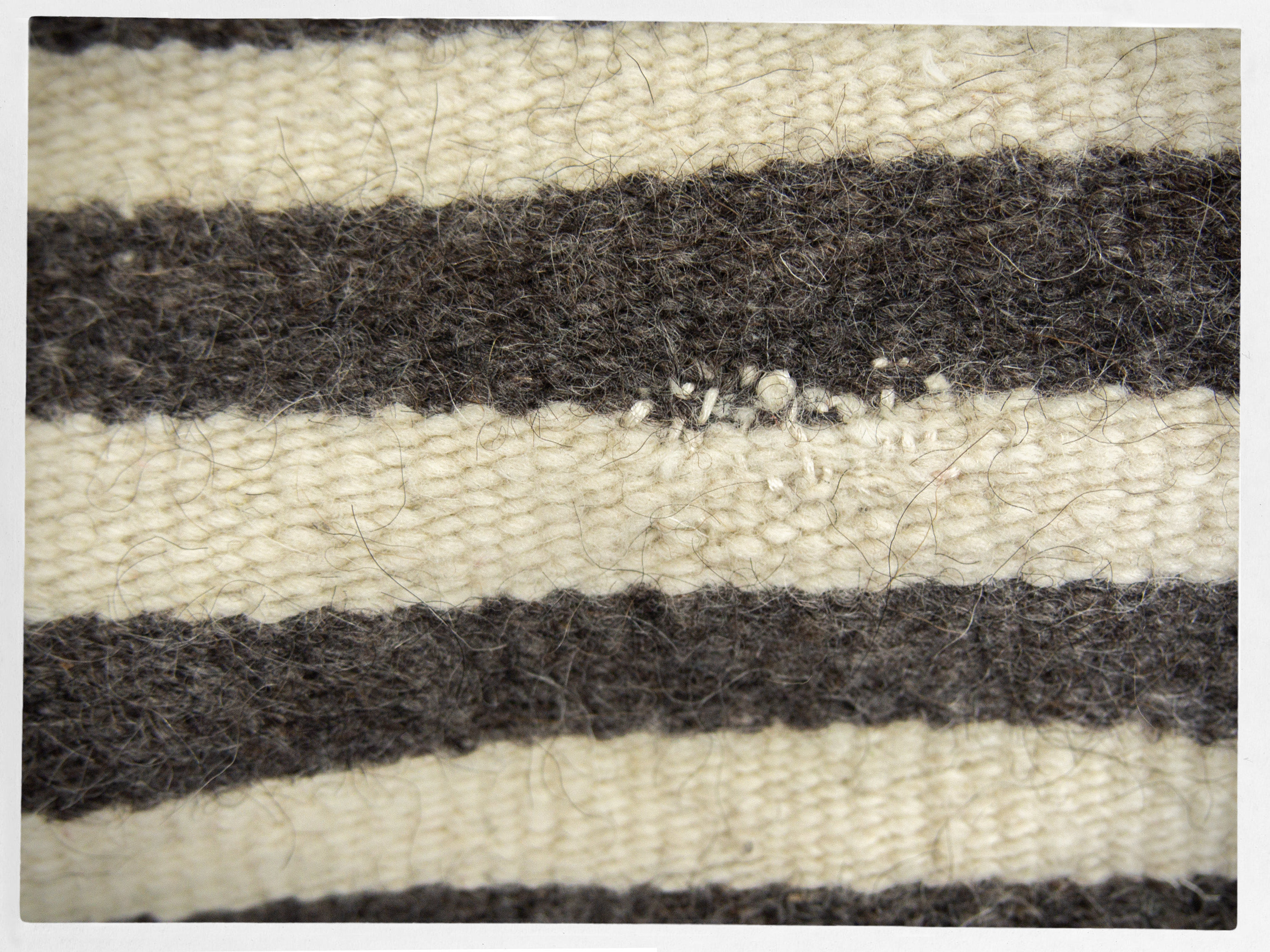 Mexican Wool Serape Blanket — 60s Aztec Bird Design, Earth Tones