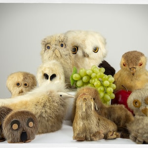 Vintage OOKPIK, Inuit Toys, Hand Crafted INUIT Dolls, Inuit Ookpik Owl, Inuit Souvenirs, Antique Inuit Crafts, Inuit Doll Collection, Seals