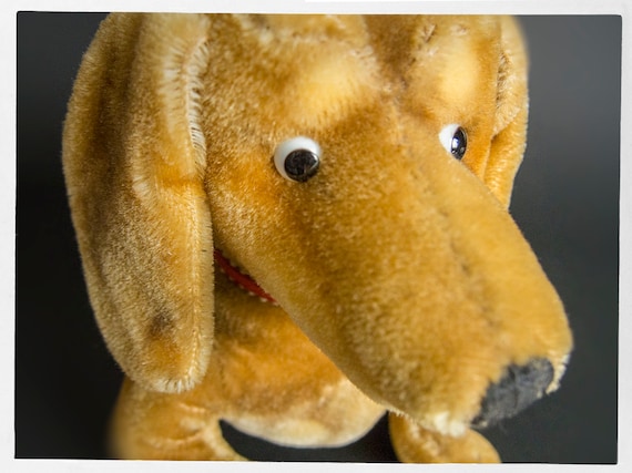 Vintage 60s STEIFF Dog, Cute STEIFF Dachshund, German Wool Mohair