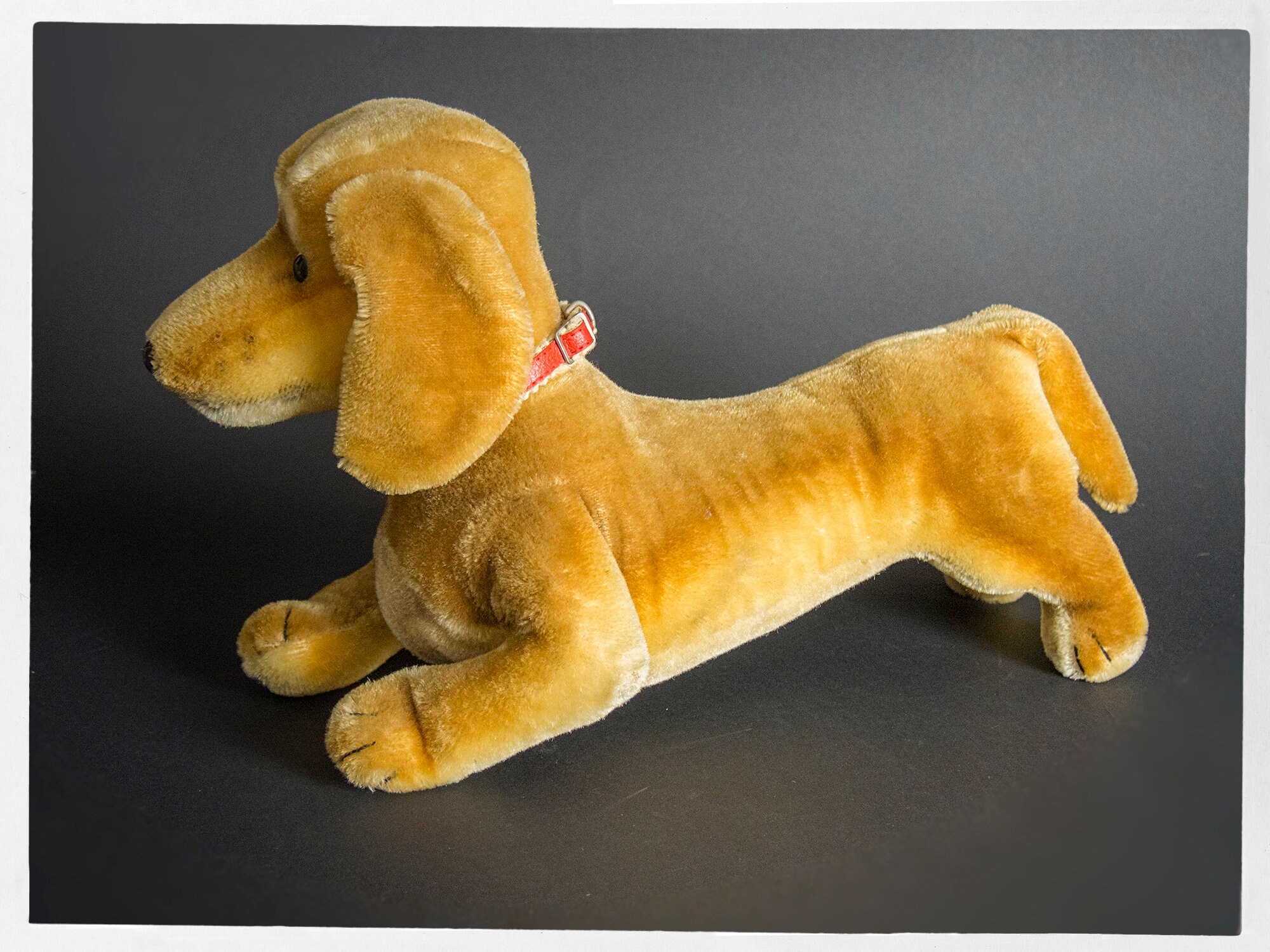 Vintage 60s STEIFF Dog, Cute STEIFF Dachshund, German Wool Mohair