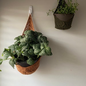 May include: Two hanging plant pots with green plants. The pots are made of crocheted material, one is brown and the other is green. The pots are hanging from white hooks on a white wall.