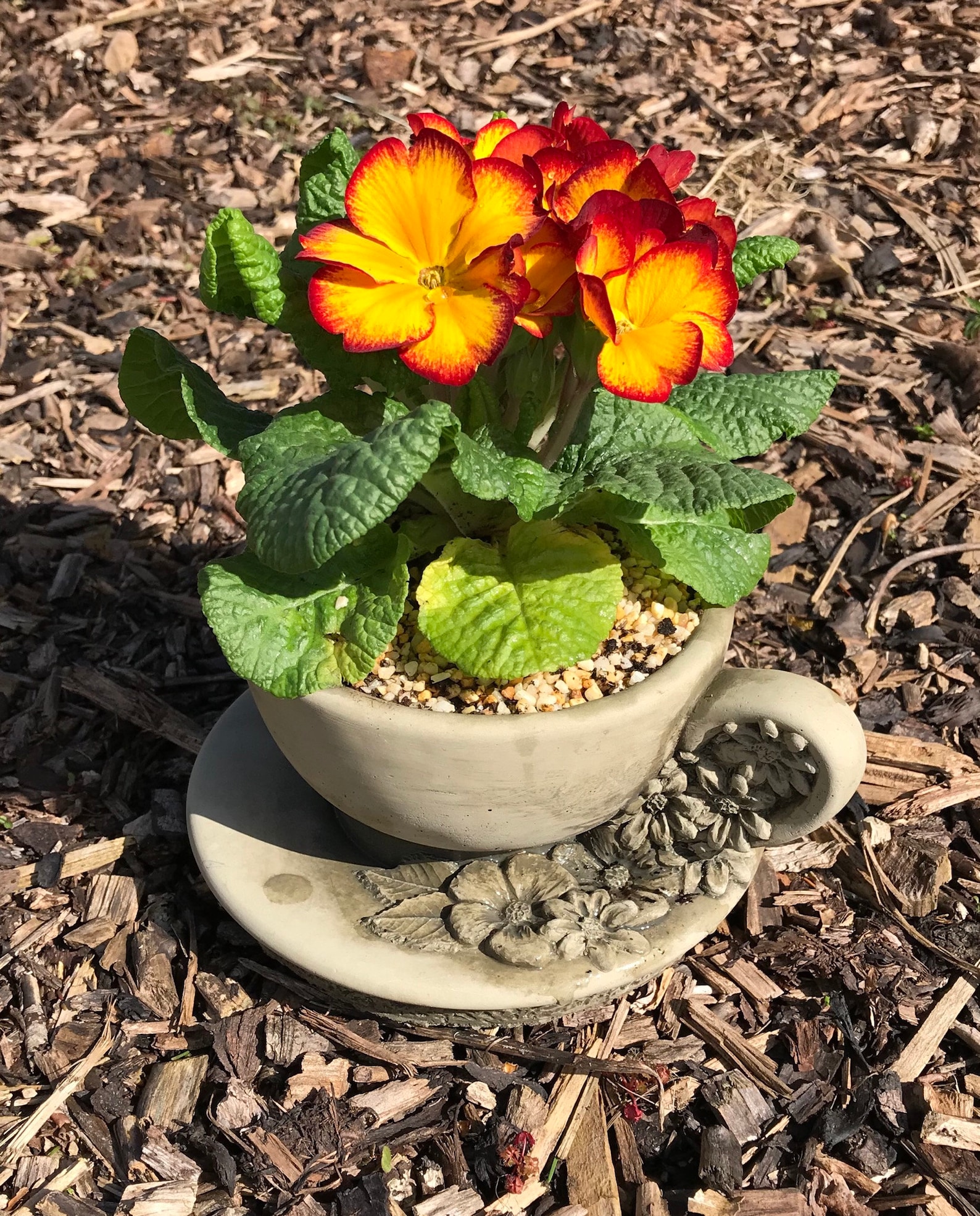 Tea Cup and Saucer Planter Stone Garden Ornament Etsy UK