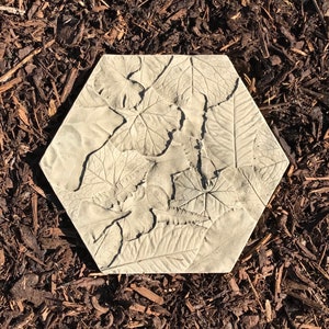 Insect Drinker Fallen Leaves Stepping Stone