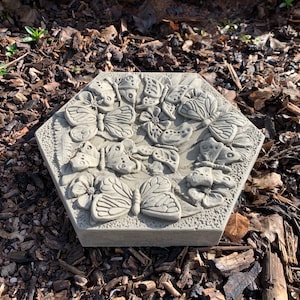 Insect Drinker Butterfly Stepping Stone