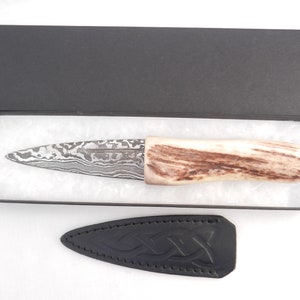 Scottish gift,wedding gift Damascus Steel Sgian Dubh in Scottish Red Deer Stag Antler and Wild Cherry mens gift best man gift groom gift
