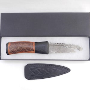 Natural Blackthorn Damascus Sgian Brew with local Bog Oak and Brazilian Purpleheart centre
