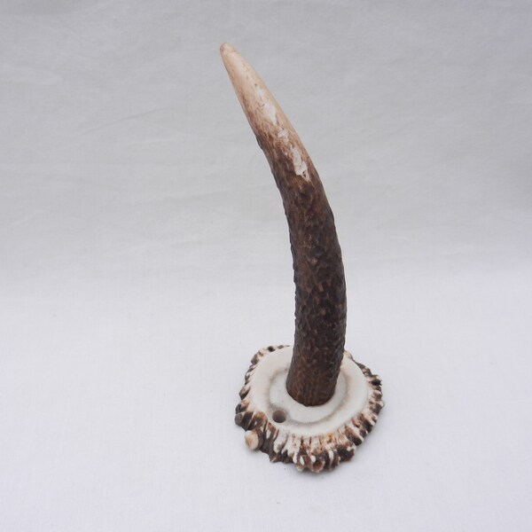 Scottish Red Deer Stag Coronet Hat/Coat Hook, mens gift, horn gift, Scottish gift, man cave, house gift