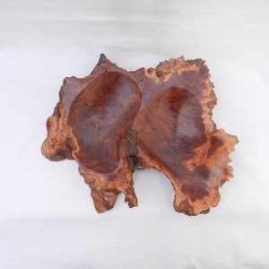 Live edge large carved double bowl in Australian Coolibah Burr, wood turning, wood carving, exotic burl bowl, treen