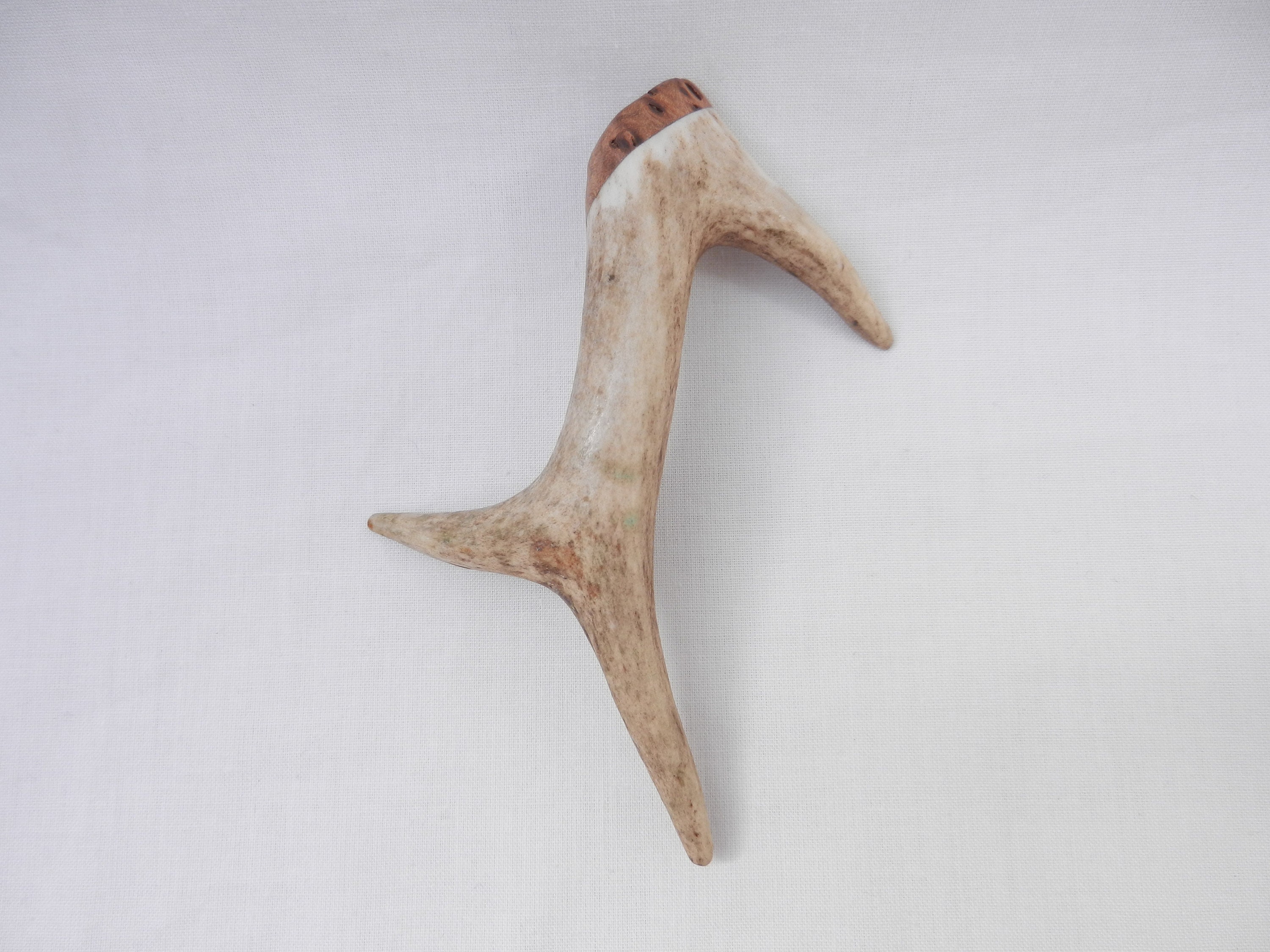 Image of Kilt Pin in Scottish Roe Deer Buck Antler & Burr Wych Elm, Gift, Kilt Wedding Groom Best Man Mens Gift