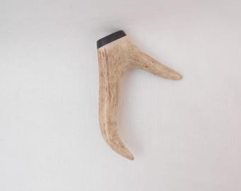 Roe Deer Antler Kilt Pin: Scottish Bog Oak, Highland Gift