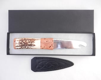 Scottish Sgian Brew: Stag Antler & Burr Elm Handle, Stainless Steel Blade