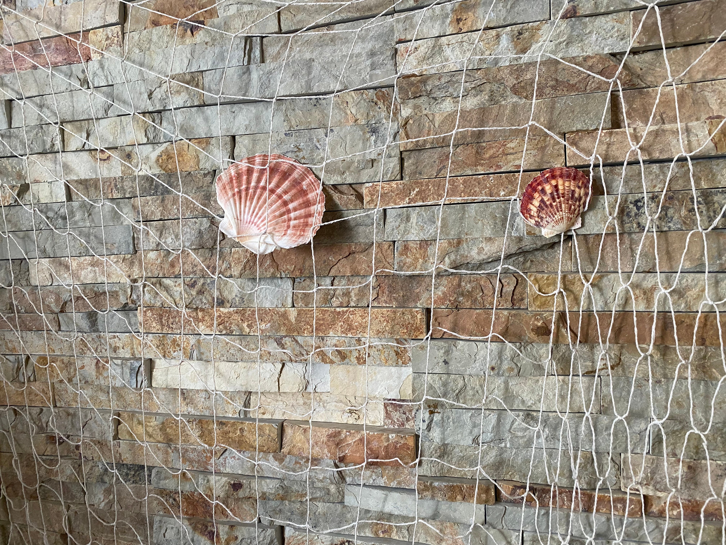 Decorative Fish Net with Shells and Cork - TikiKev