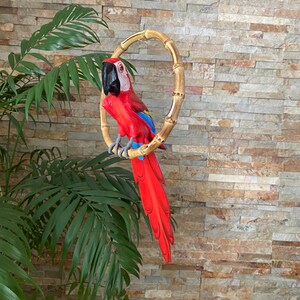 Photo inspiration: Visual Reference: Red Scarlet Macaw Parrot Hanging Parrot Tiki Bar Decor