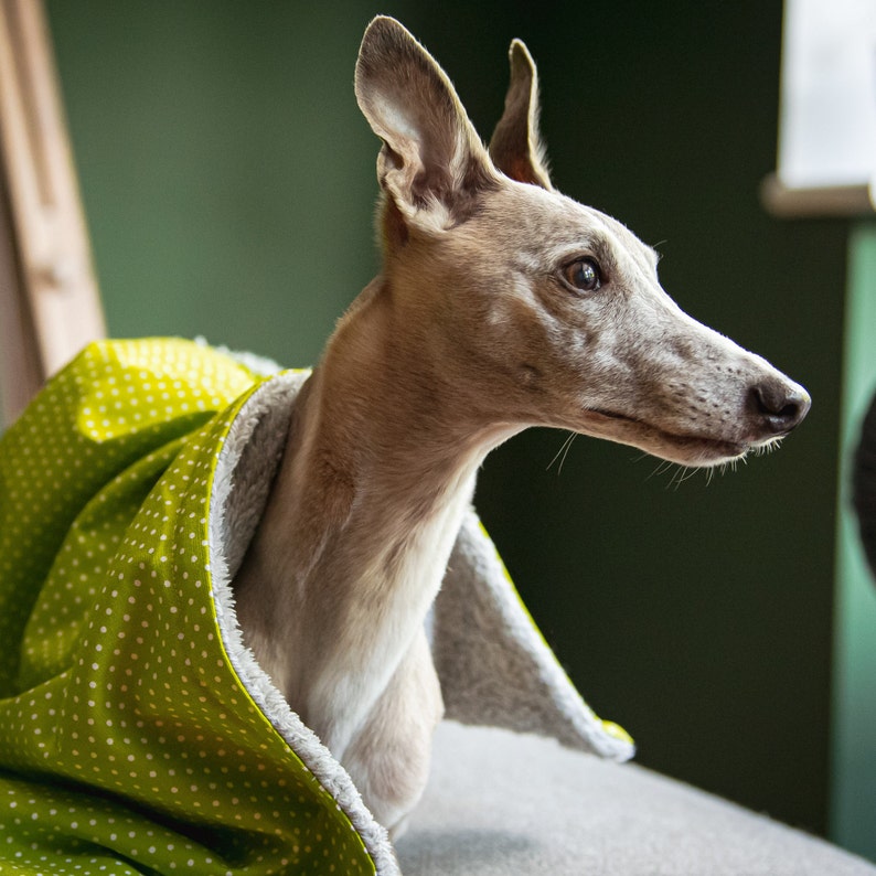 Hundedecke Fleecedecke Hund Hund werfen personalisierte Etsy