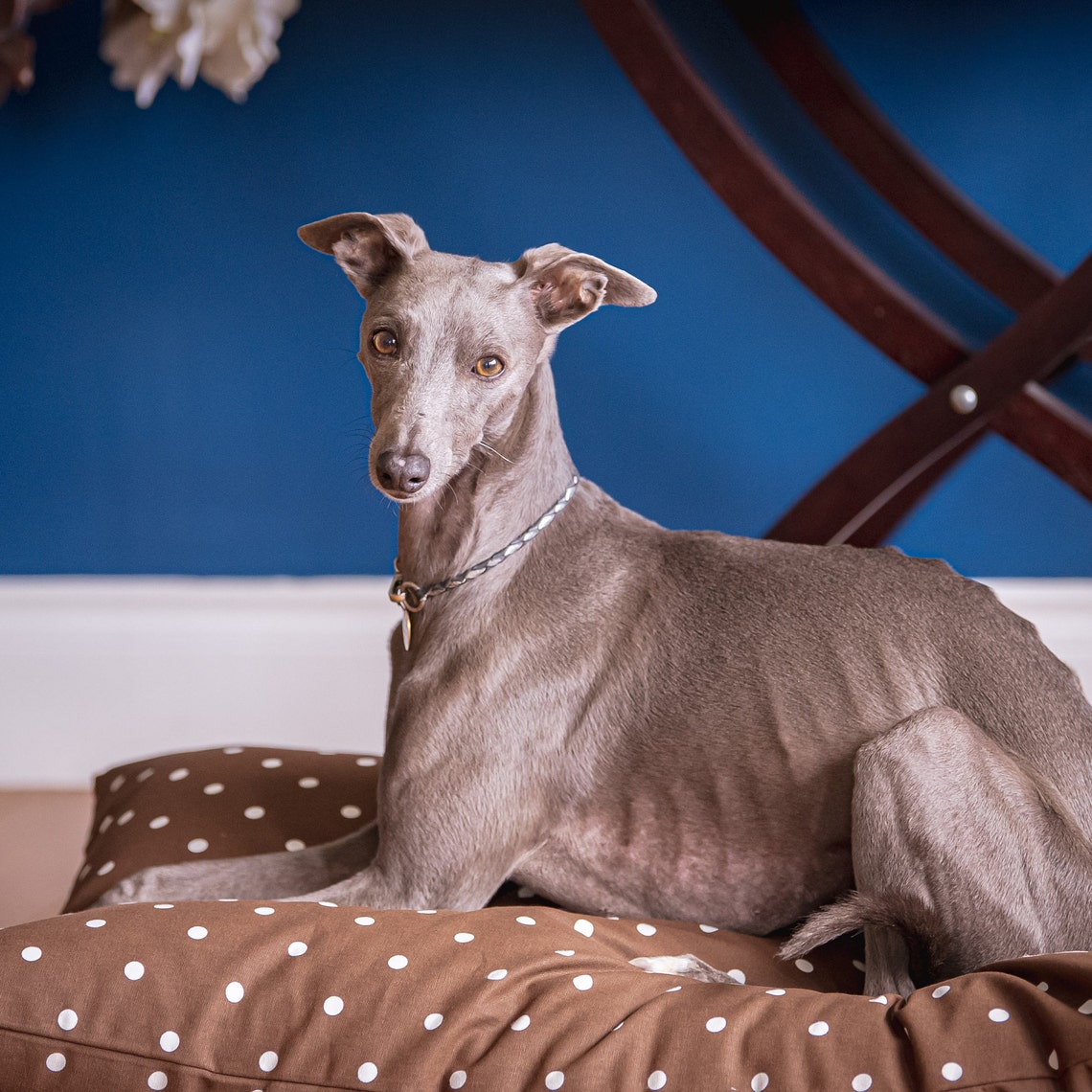 Personalised Dog Cushion/dog Bed/dog Cushion/bespoke/applique Etsy