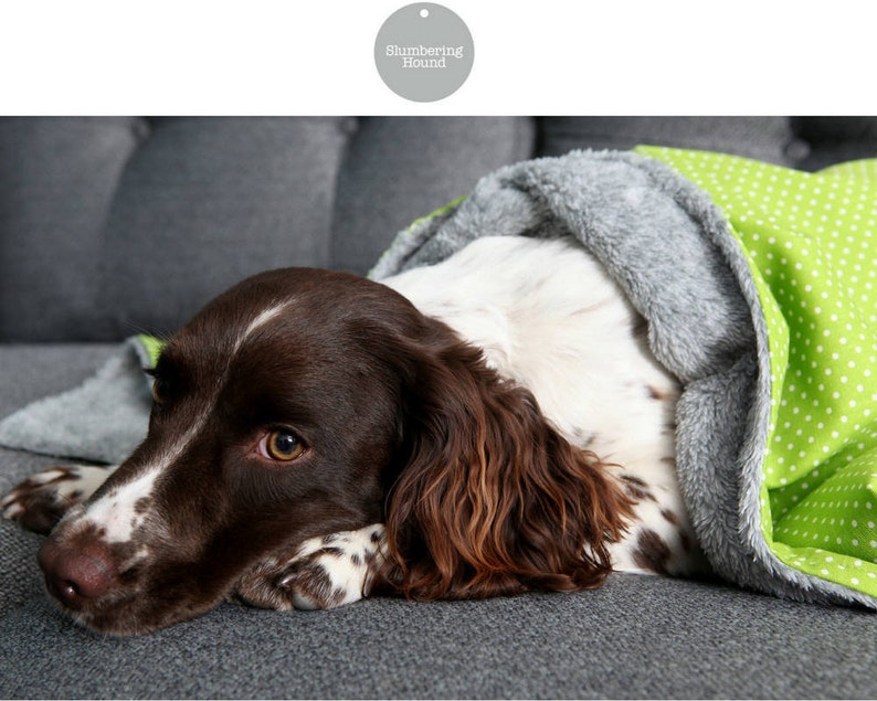 Hundedecke Fleecedecke Hund Hund werfen personalisierte Etsy