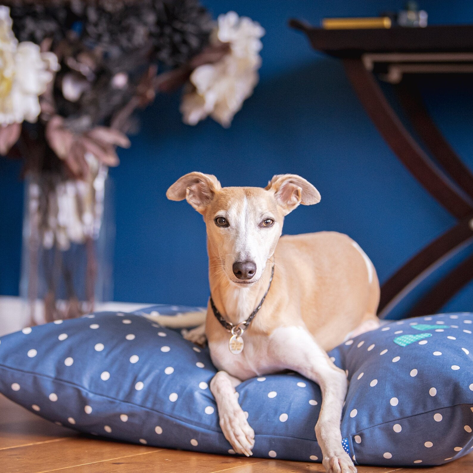 Personalised Dog Cushion/dog Bed/dog Cushion/bespoke/applique Etsy