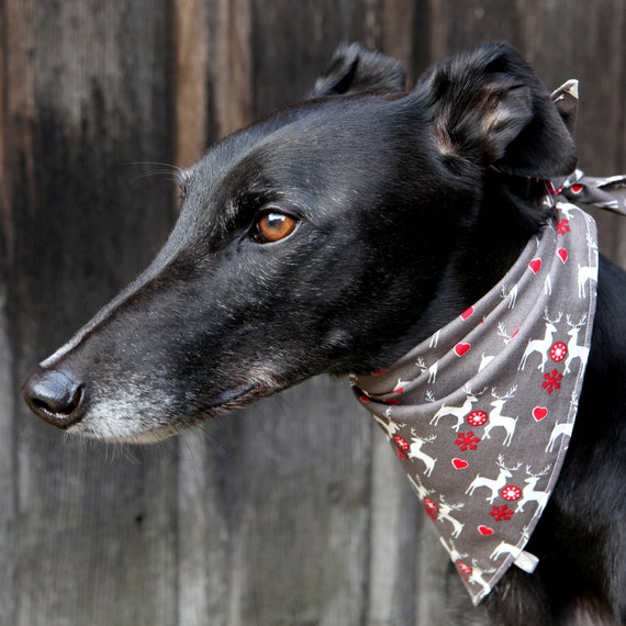 dog neckerchief christmas