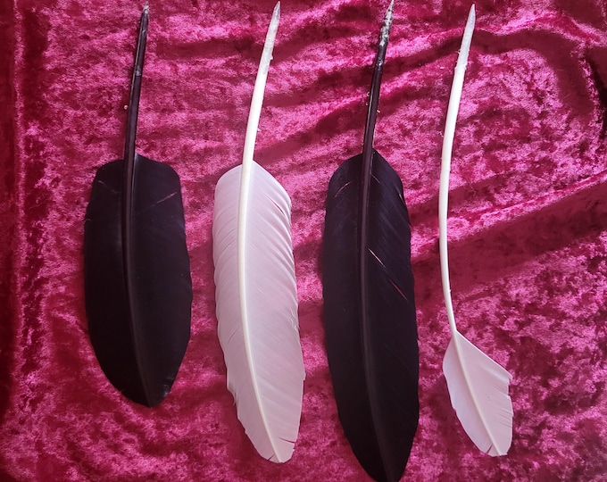 Handcut Feather Quill Dip Pen Cut to Order