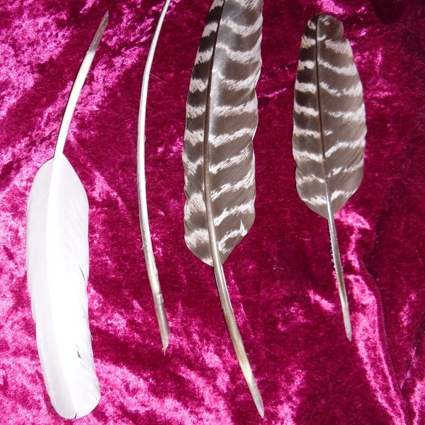 Handcut Feather Quill Dip Pen Cut to Order