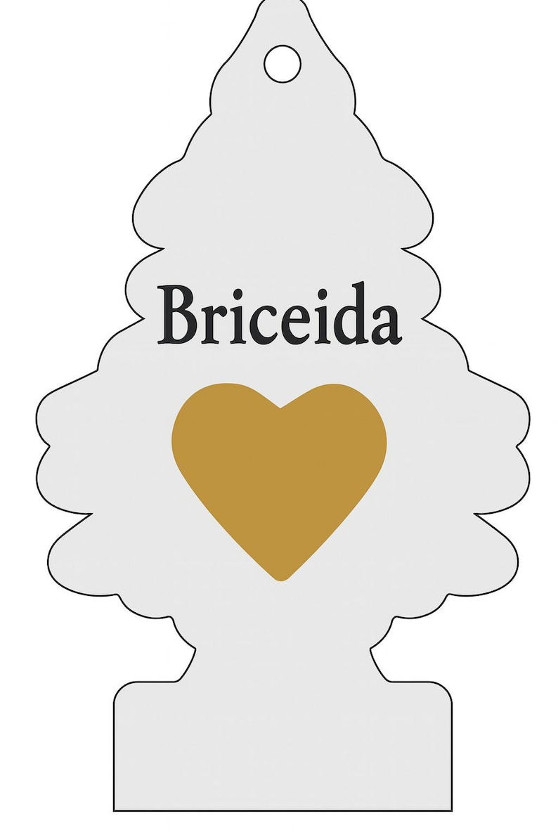Peut inclure: D&eacute;sodorisant blanc en forme d'arbre, avec le nom "Briceida" en noir et un c&oelig;ur dor&eacute;. Il comporte un trou en haut pour &ecirc;tre suspendu. Design simple et &eacute;l&eacute;gant.