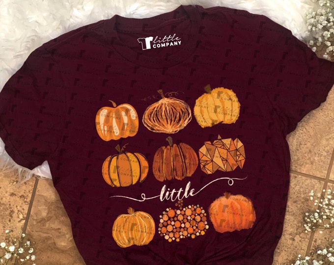 Big Little Fall Pumpkin Grid Unisex Tees XS-2XL