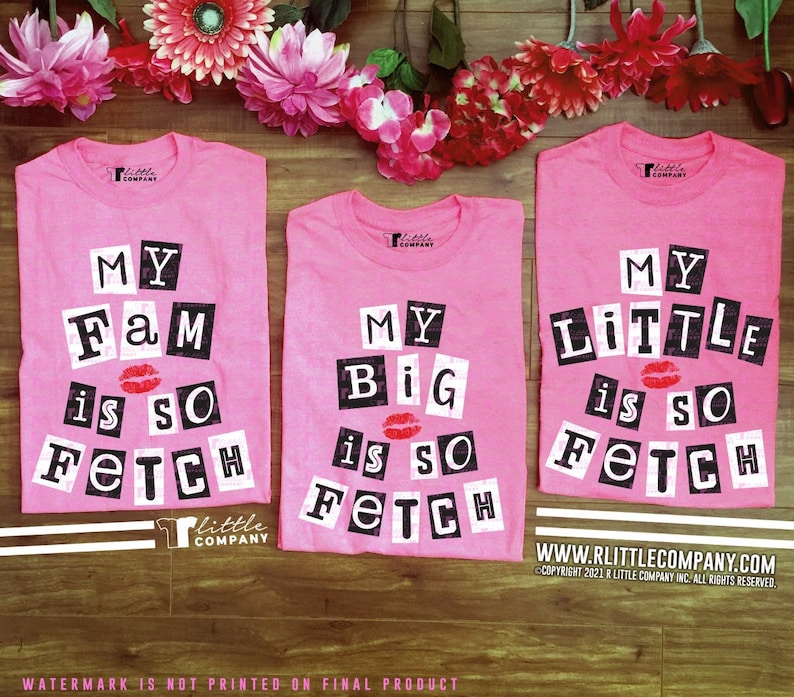 Mean Girls Big Little So Fetch Unisex Softstyle Tees XS-4XL // Big Little Reveal // Big Little Gift // Sorority // Matching / 2000s image 1