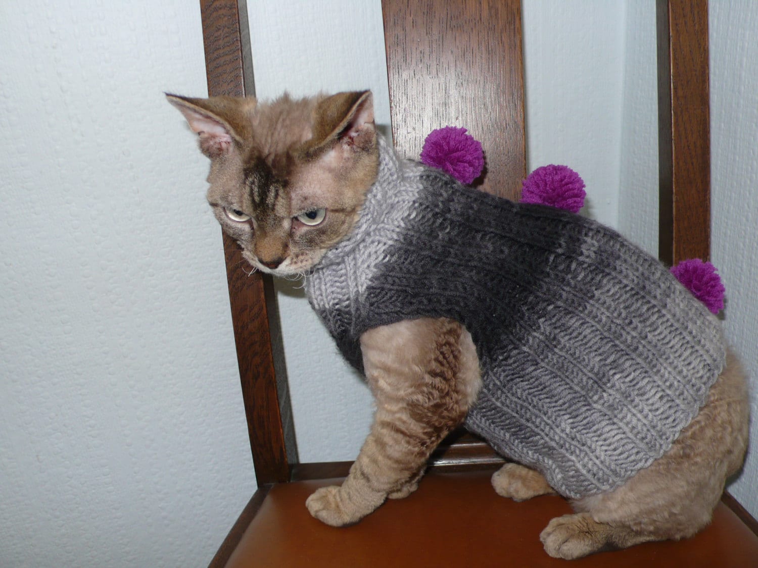 Hand knitted cat sweater jumper hand knitted sweaters for cat Etsy