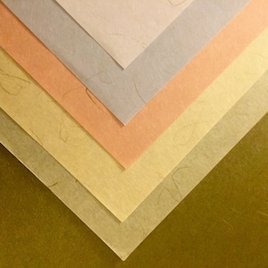 Package of Ten Pieces of Tatami Japanese Papers · Two Pieces Each of Five Colors