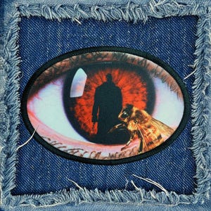 May include: A black and white image of a human eye with a red iris. A silhouette of a person holding a knife is reflected in the iris. A bee is in the foreground.