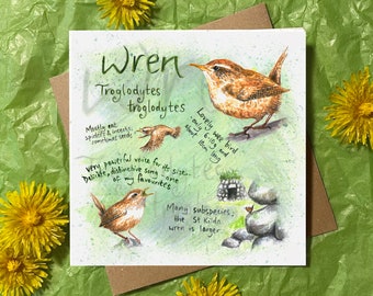 Wren Greeting Card - Birthday / Anniversary / Thank You / Special Occasion / blank card for nature bird lover