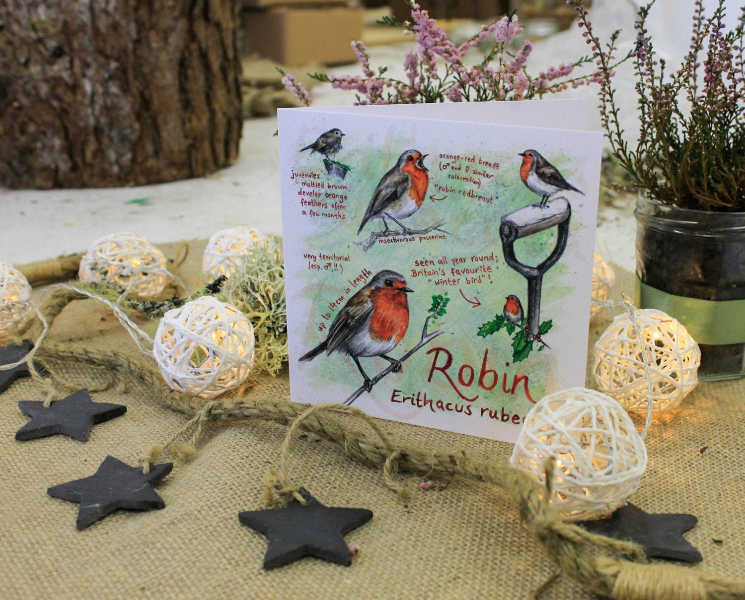 Rotkehlchen Grußkarte Geburtstag / Jahrestag / Danke / Etsy.de