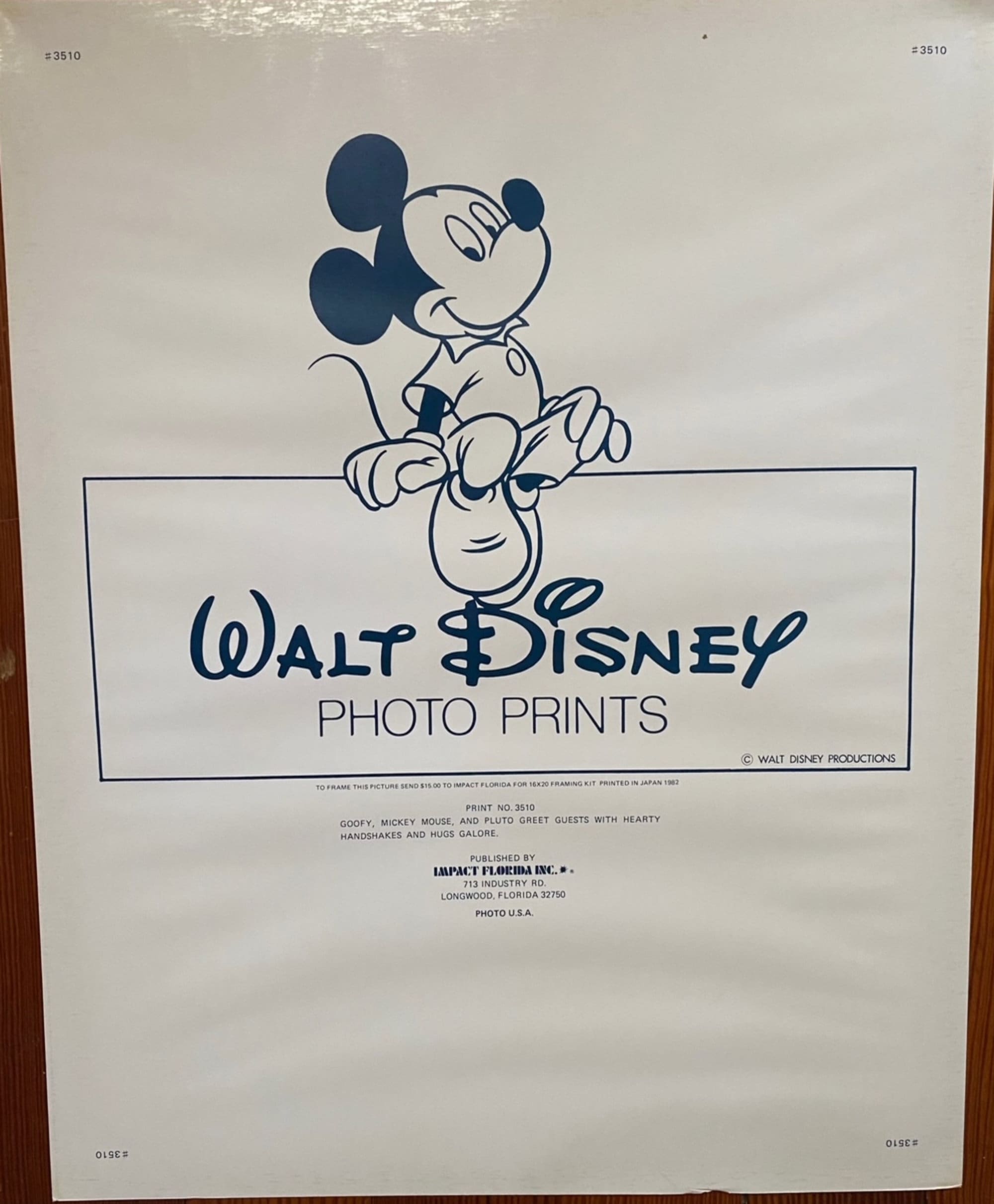 Mickey Mouse and Friends Vintage 80s Disney Large Photo Print 16