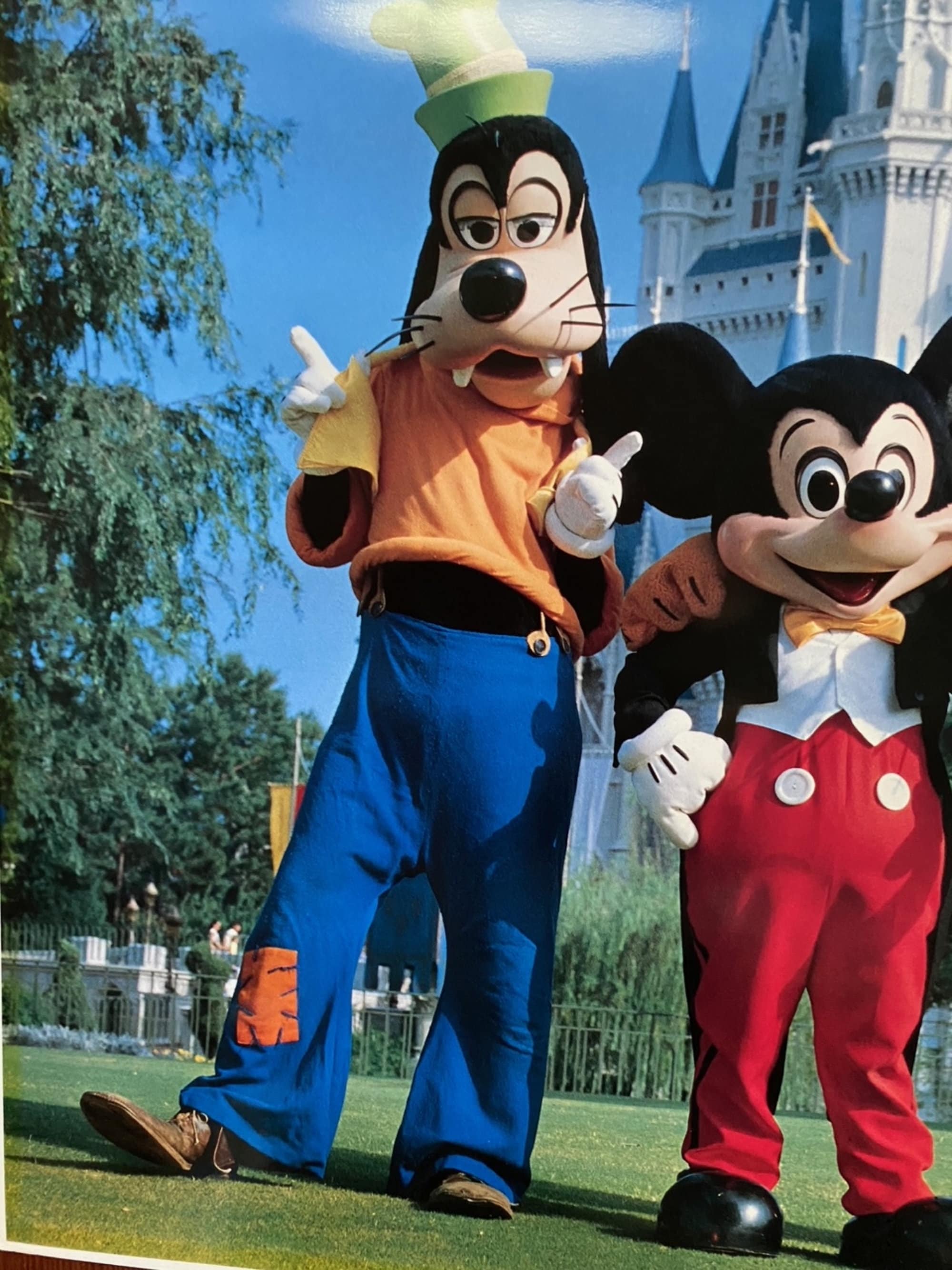 Mickey Mouse and Friends Vintage 80s Disney Large Photo Print 16 