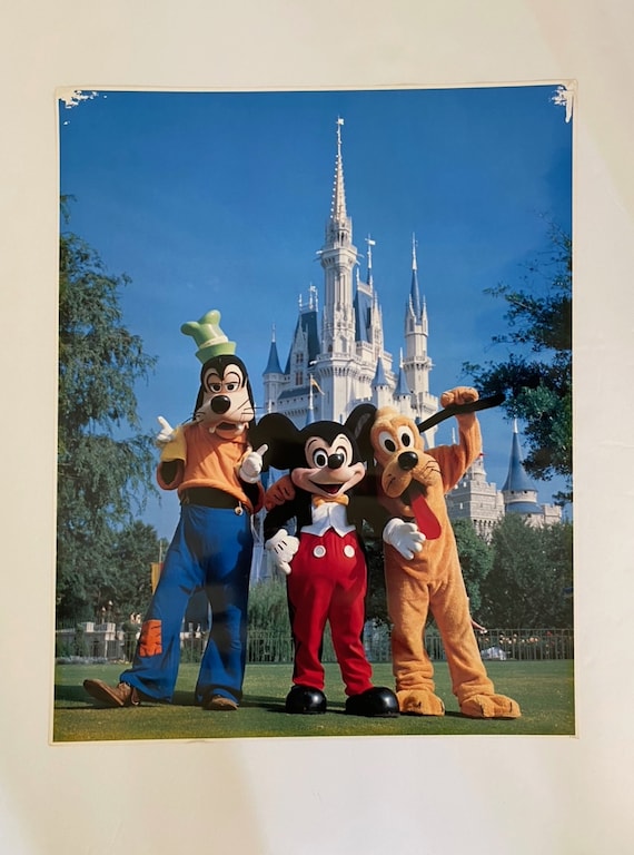 Mickey Mouse and Friends Vintage 80s Disney Large Photo Print 16