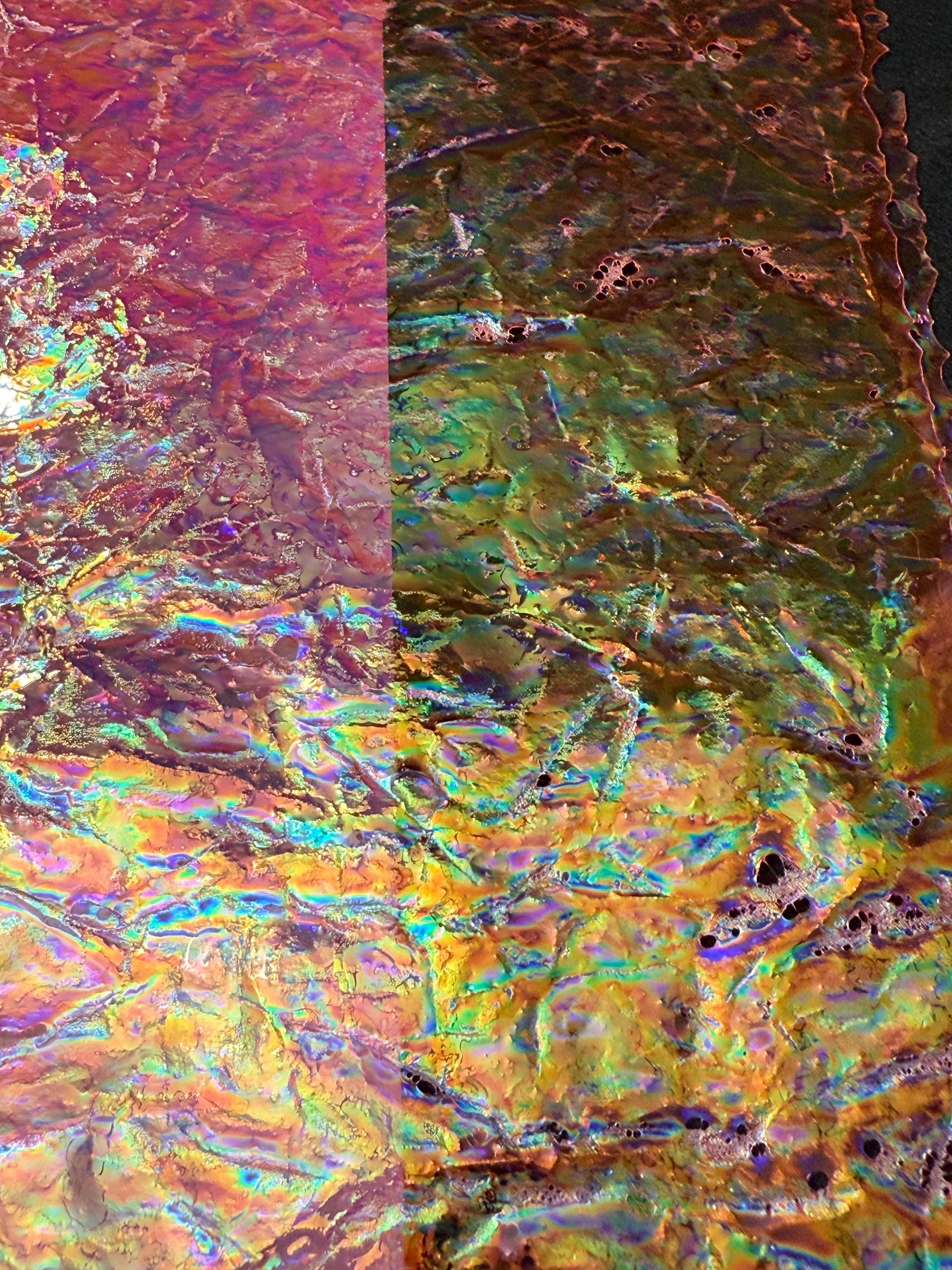 フュージョンフィルム、トップセラー、デザイナーインレイ、虹彩