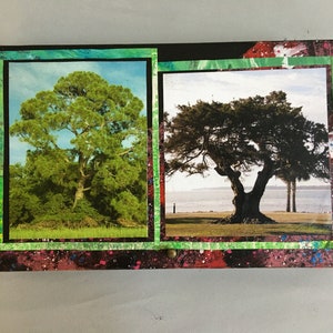 St Simons Island Treasure Box-2