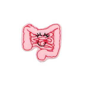 May include: Pink felt patch with an embroidered cartoon intestine with a smiling face and eyelashes.