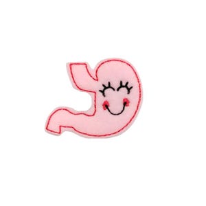 May include: Pink felt stomach with a smiling face and eyelashes. The stomach is outlined in red thread.
