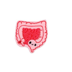 May include: Pink felt patch with red embroidered design of a cartoon intestine with a smiling face.