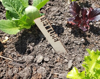 Fruit and Vegetable name Stakes / Plant Stakes / Garden Markers / Eco Garden
