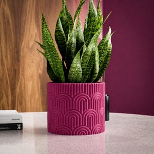 May include: A vibrant magenta cylindrical plant pot featuring a raised, repeating arch pattern across its exterior surface. The pot contains a tall snake plant with pointed, variegated green leaves that extend upward from the center of the vessel.