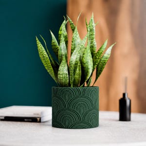 May include: A snake plant with variegated green and yellow sword-shaped leaves potted in a cylindrical dark green planter. The planter features a raised, repeating fan-shaped pattern with intricate dot detailing across its entire exterior surface.