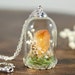 see more listings in the Crystal terrariums section